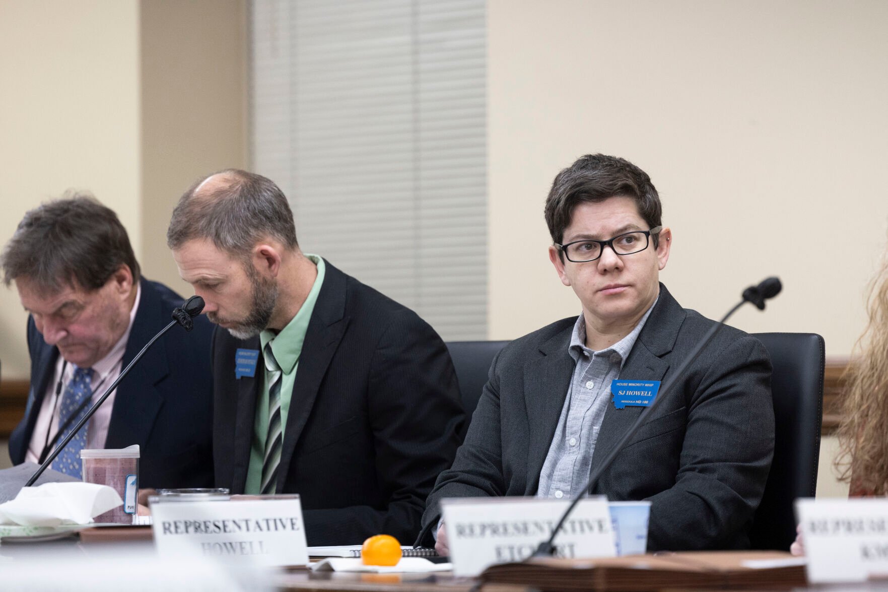 House health committee moves first bills, focuses on less contentious proposals