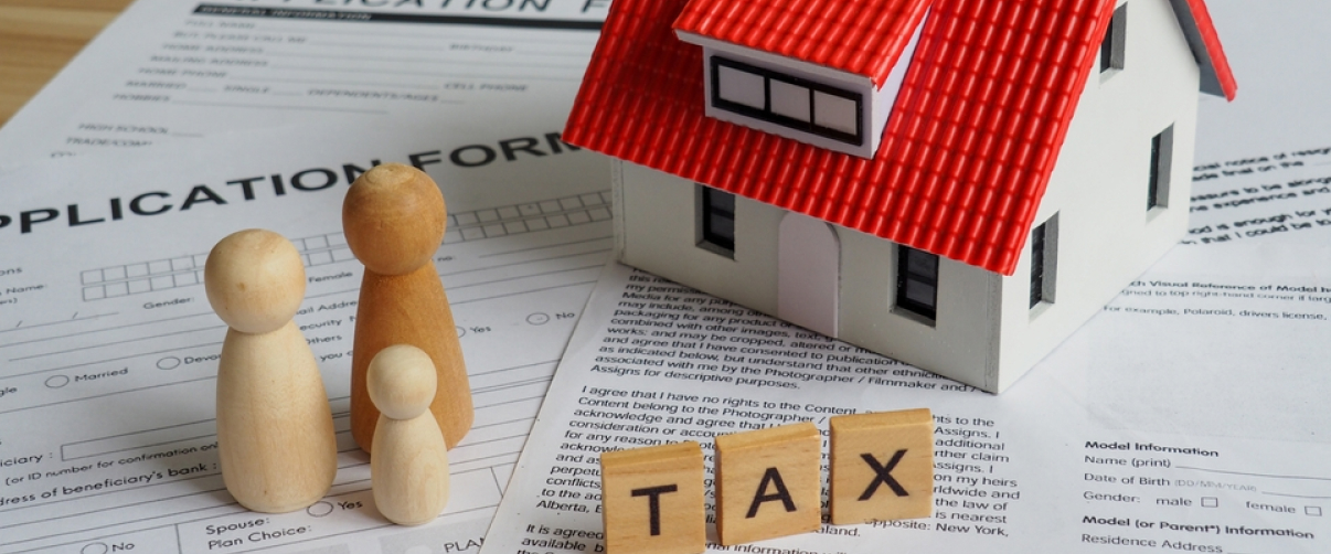 Real Estate Taxes Explained: Property Taxes, Capital Gains, and More