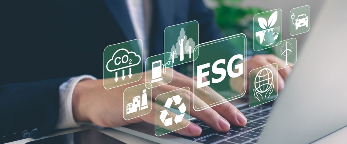Sustainable and ESG Investing: How to Align Your Portfolio with Your Values