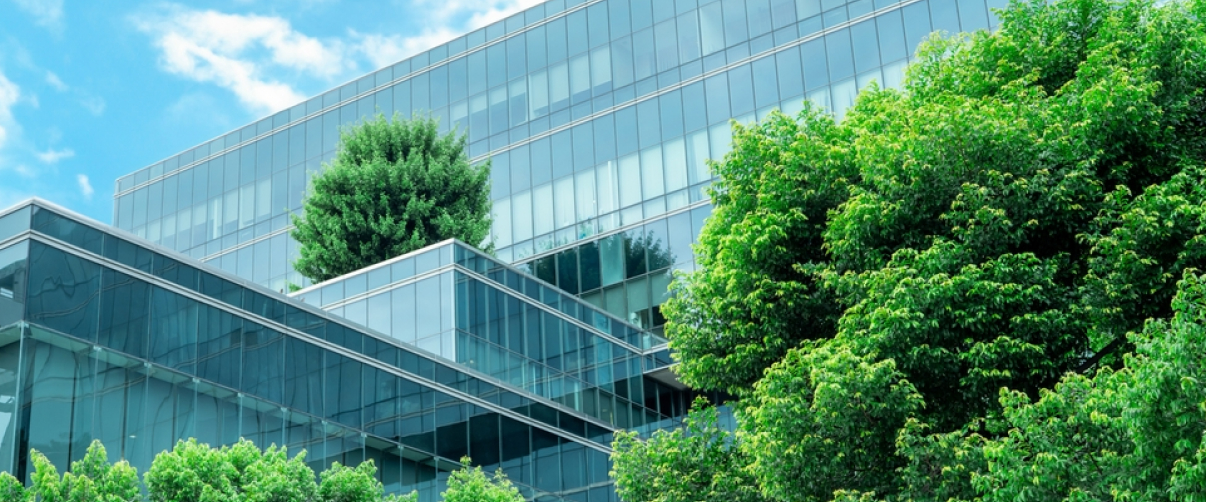 The Green Revolution in Commercial Real Estate: How Sustainability is Driving Property Values