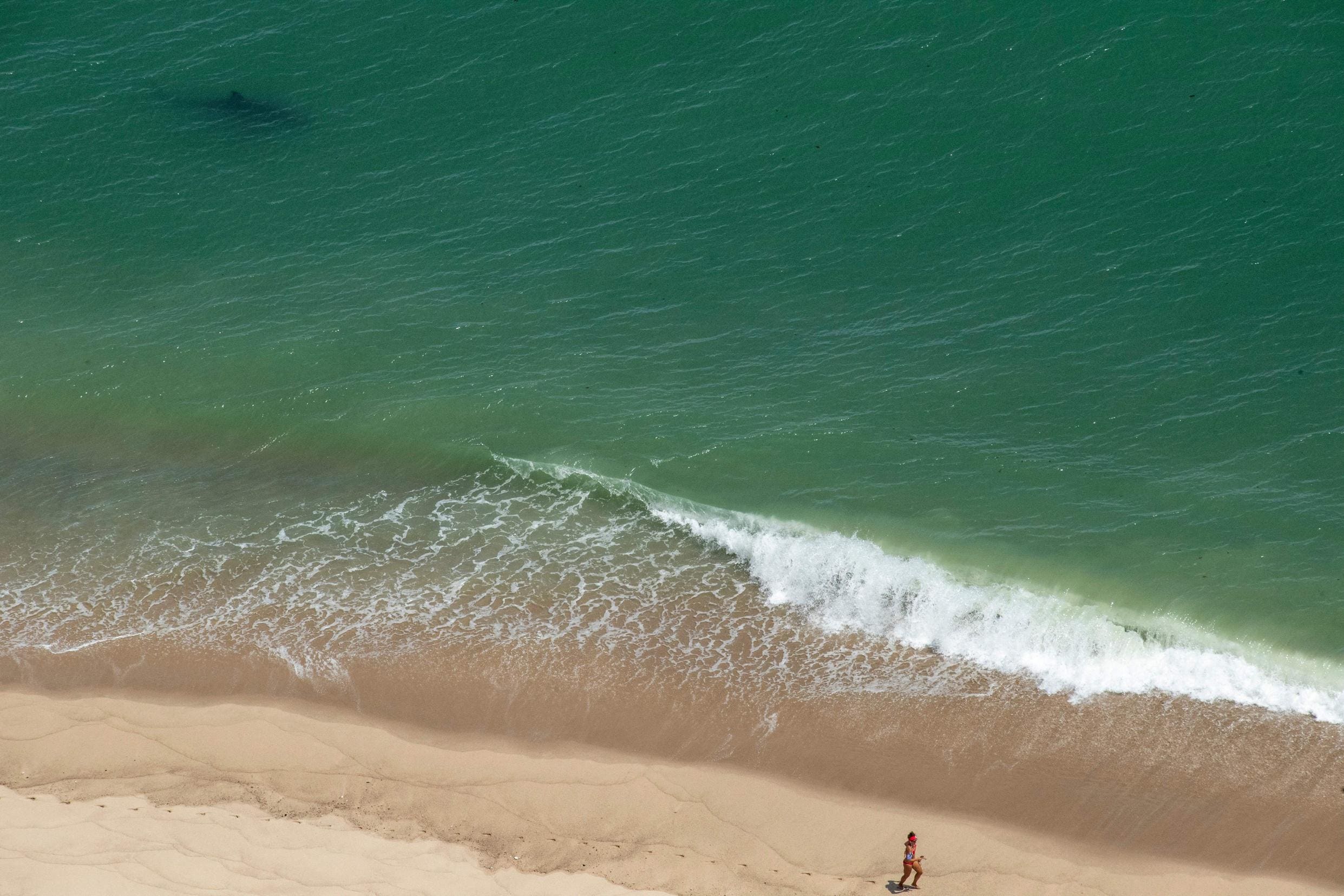  Why Massachusetts Is Cracking Down On Shore-Based White Shark Fishing