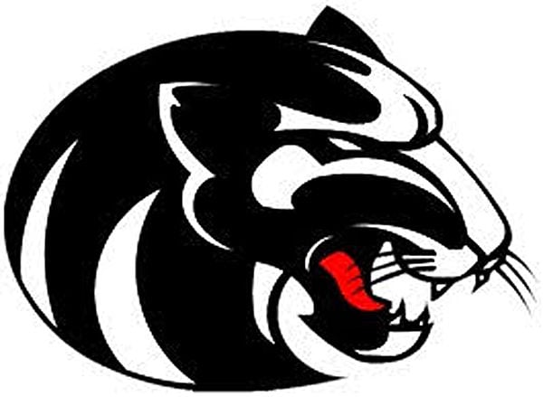 E-SPORTS: Ridgeland Falls In Rocket League Playoffs