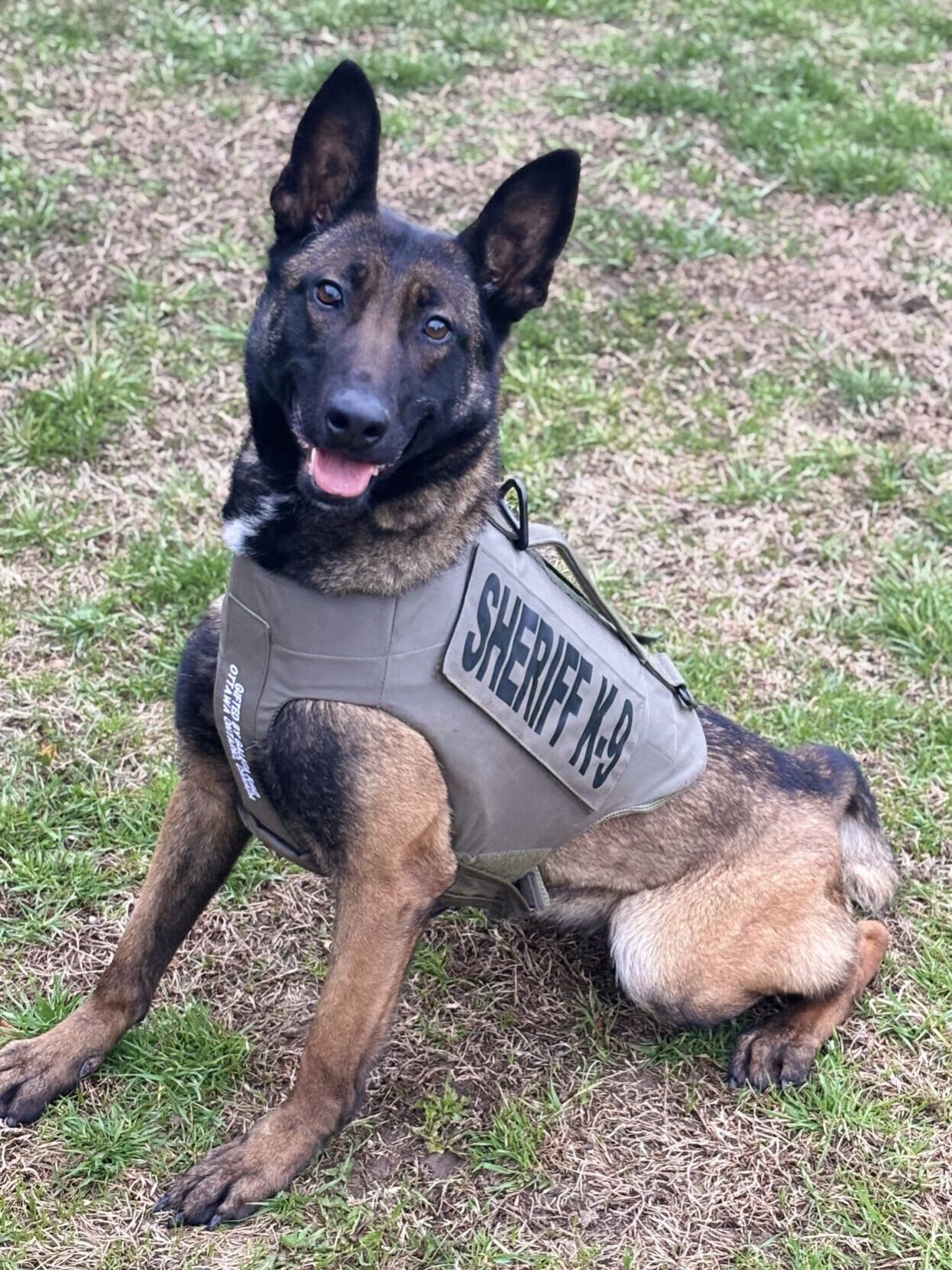 Local K9 deputy receives body armor donation