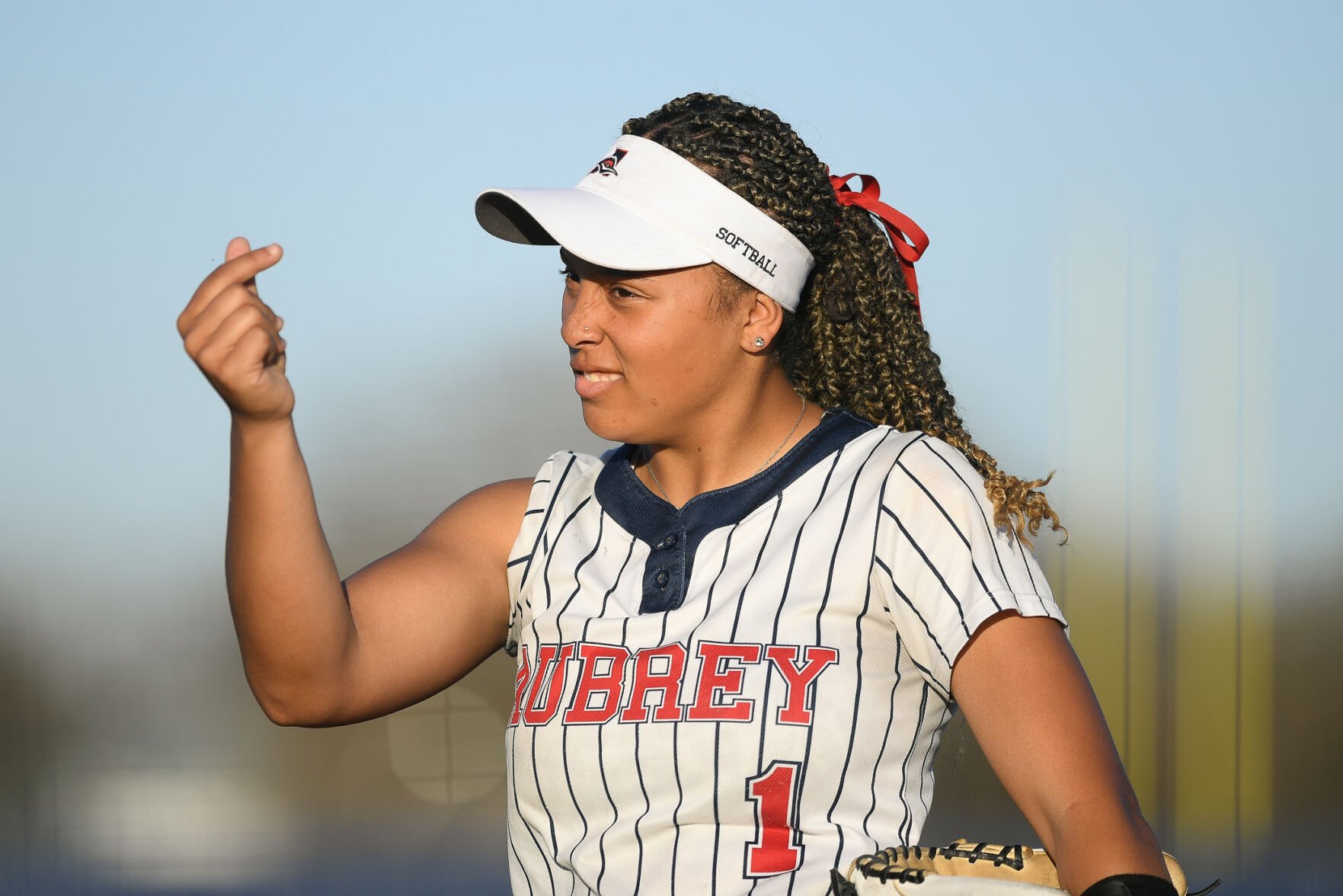 Round 2 softball schedule: Five local squads set for area-round showdowns