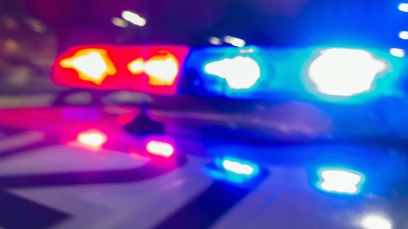 Rumor of monkey trade for child leads to Missouri foster mom’s arrest