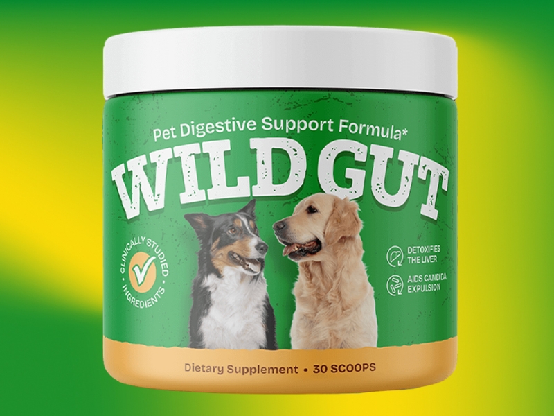  WildGut Under Review: Best Pet Gut Health Digestive Support for Dogs (Fruit Seed Detox)
