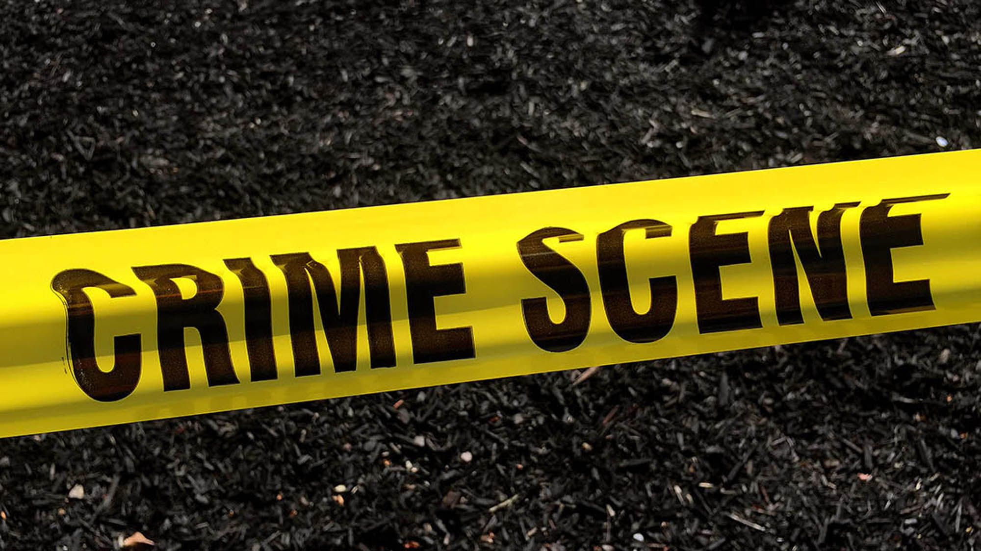 Victim found slain in Valley Village apartment