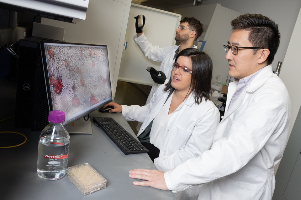 Painting a Target on Cancer to Make Therapy More Effective