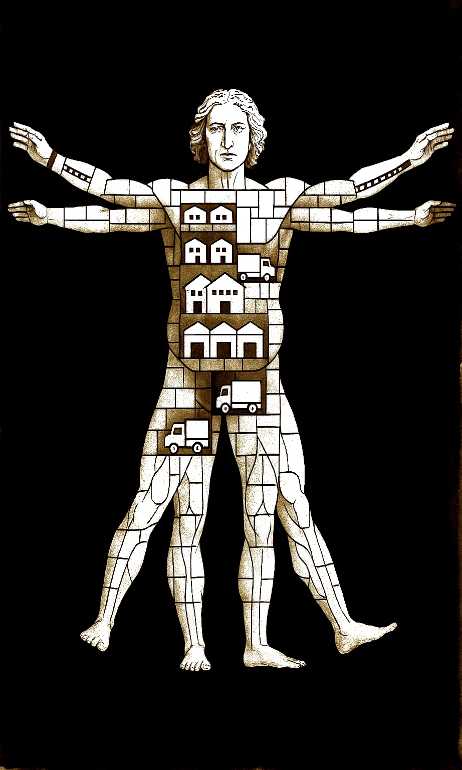 Your Supply Chain is Not Lean. It is Malnourished