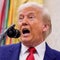 The common theme among Trump’s recent pardons