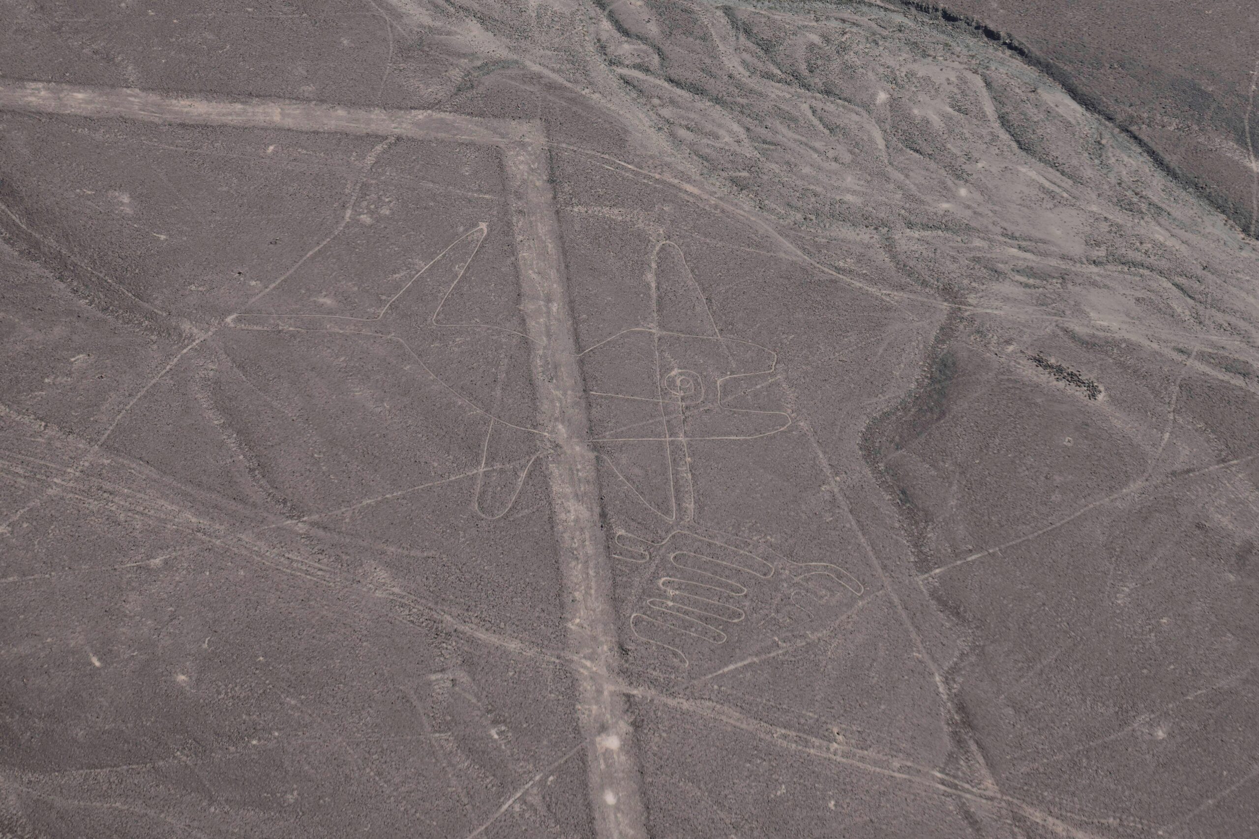  Perú restablece la protección total de las Líneas de Nazca tras controvertido recorte del área