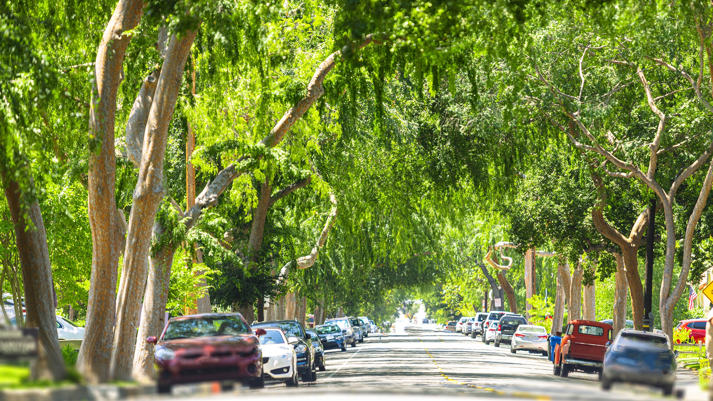  USC teams up with ShadeLA coalition to cool Los Angeles ahead of 2028
