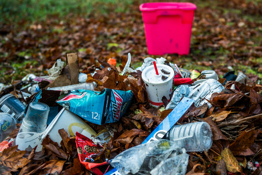 Centralia increasing litter cleanup, leaf collection and knotweed removal with flurry of council-approved contracts