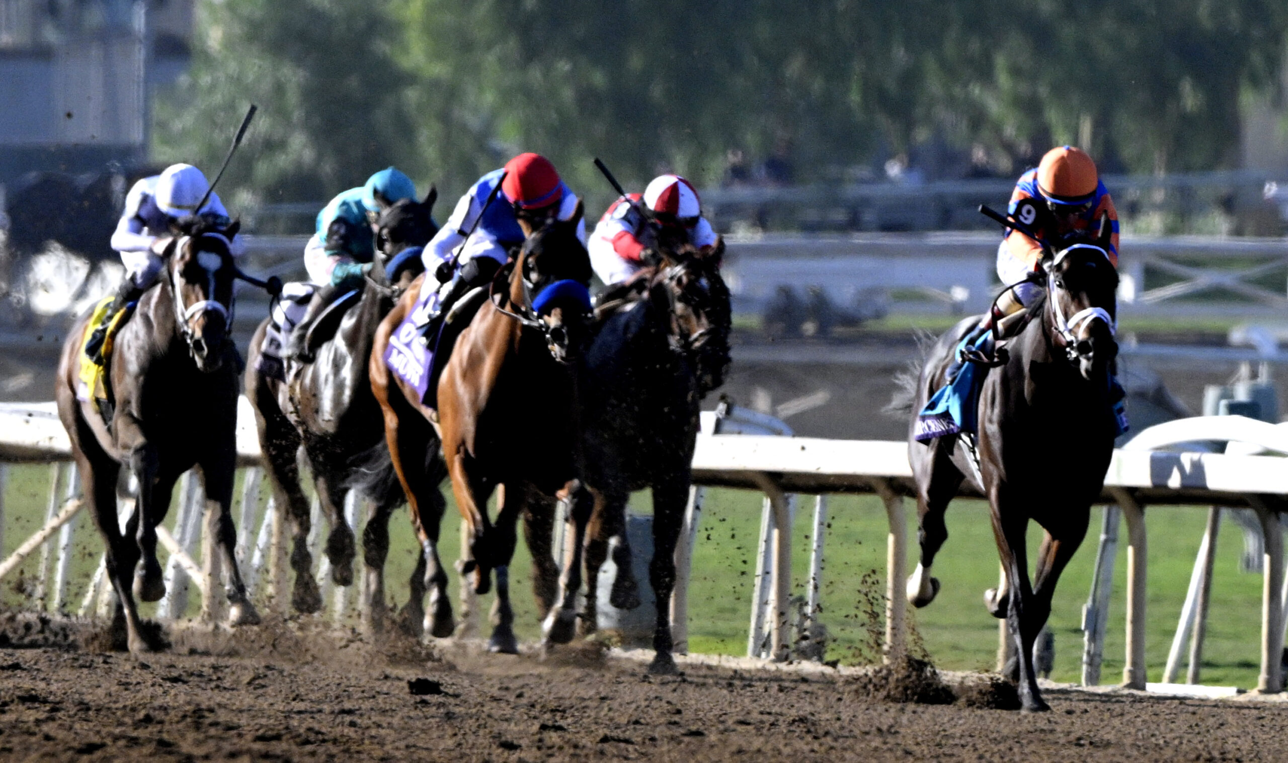 Pacific Classic draw set, with plenty of star power ready to run Saturday at Del Mar