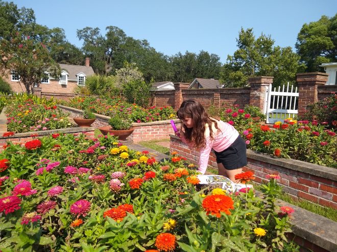 Join Pebble Hill Plantation for the Great Southeast Pollinator Census