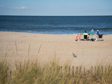 Taking a dip Labor Day weekend? Swimmers face fecal contamination at beaches along US coastline
