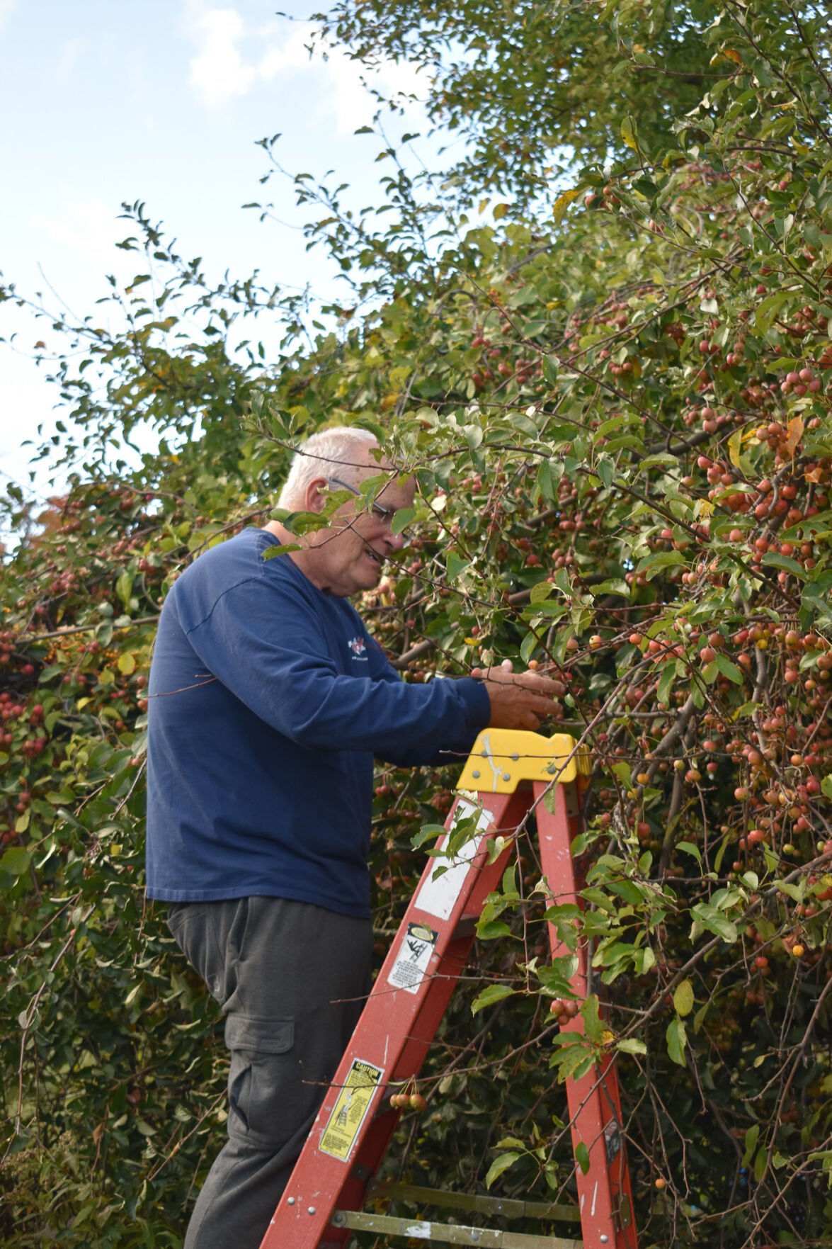 Area apple orchards, pumpkin patches ready for fall