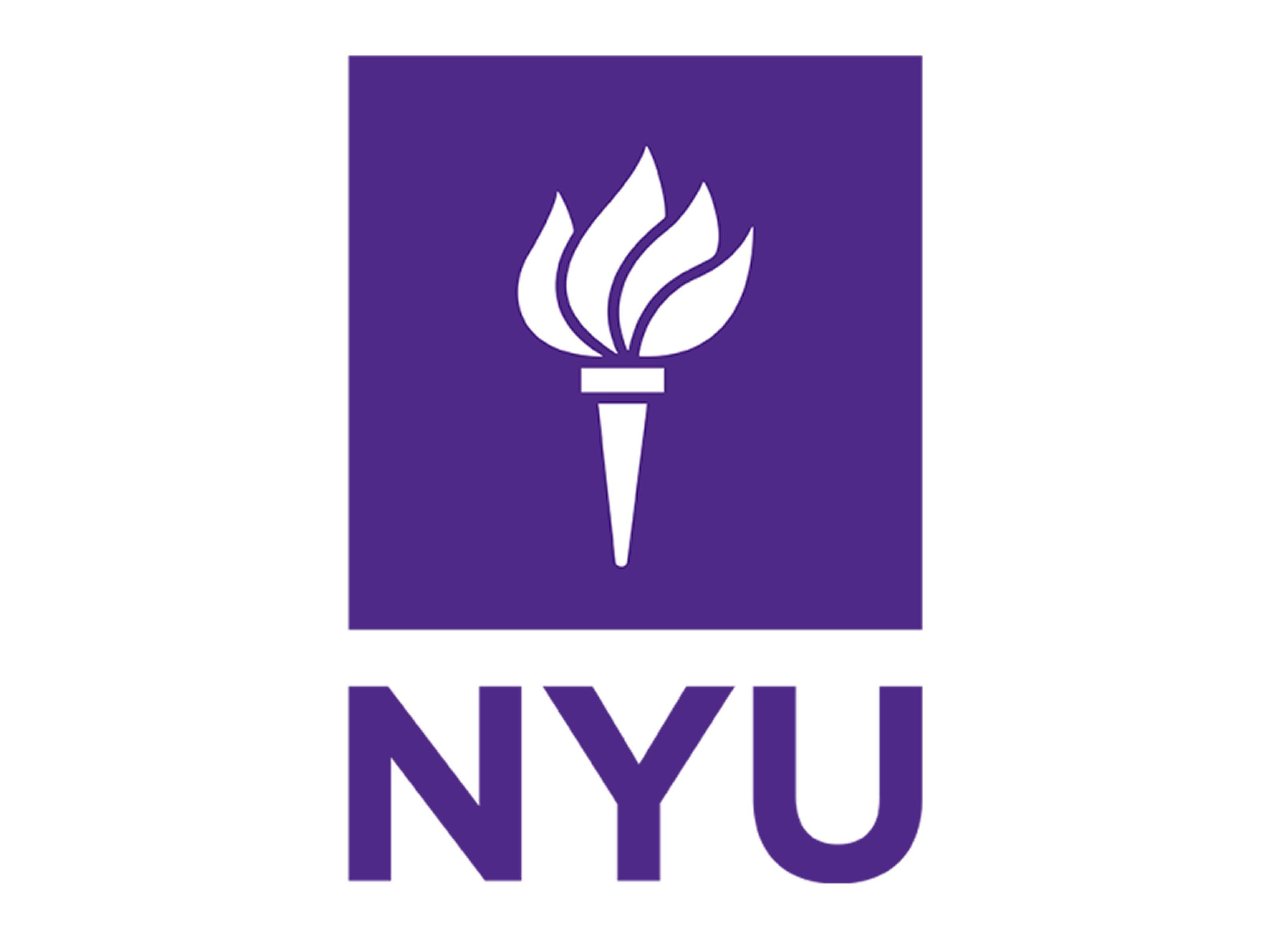 New York University